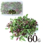H)���A�[�N �}�C�N�����[�t�I�[���~�b�N�X���A�[�N�X�^�C��(���쑼) 60G