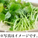 H)݂(ʎY)@ 50G