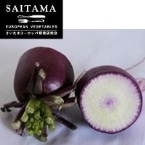 ���卪 ��ʌ��Y ��400�`600G