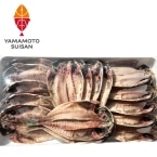 Y�j�J�l�}�����s�j�^�����J���@16�����@16�H��