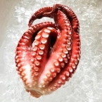�y�ʂ蔄��zY)�{�C���k�C����(�k�C��) ��0.25�`0.6KG�O��