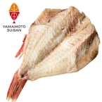 Y)�ԋ��J��(�A�����J�Y)�@320G