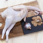 ��ʌ��Y�^�}�V�����i�������A���o�[�A