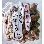 M)ԂȂ߂(쑼) 200G