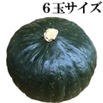 ���� ���� �G�E�D 6�ʃT�C�Y 1�ʓ�