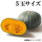 قZ xǖ (5ʃTCY) 1ʓ