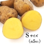 �C���J�̂߂��߁i�\���n��jS�T�C�Y