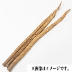 H)􂢂ڂ(XY) 500G