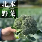H)内田さんのブロッコリー(埼玉産) 1個入