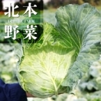 H)���c����̃L���x�c(��ʎY) 1��