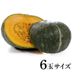 �I�䂽��(�x�ǖ쑼) 6�ʃT�C�Y 1�ʓ�