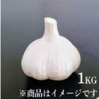 H)ӂ肳̂ɂɂ(XY) 1KG