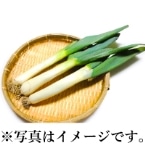 H)��B�˂�(�Q�n�Y)2�`3�{����