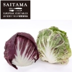 ���f�B�b�L�I�����V�A�Z�b�gM�T�C�Y ��ʌ��Y 1��