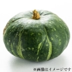 神奈川完熟三浦かぼちゃ6玉サイズ1