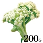 �J���t���[�� 200G