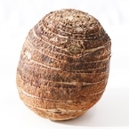yʂ蔄zcA(LE2L) 800G