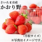 �������܎s�Y������삢����(�����T�C