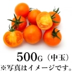 コ̊Ïnʃg}giIWj 500G