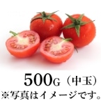 コ̊Ïnʃg}g 500G