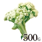 �J���t���[�� 500G