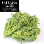 �P�[���؉� ��ʌ��Y 100G