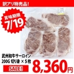 �y�ʂ蔄��z���B�a���T�[���C��200G�؂�g×5��