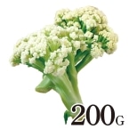 �y������̃J���t���[��(��) 200G