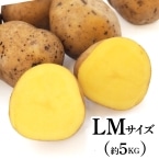 �C���J�̂߂��߁i�\���n��jLM�T�C�Y ��5KG