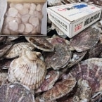 ��)���Y �����L��M 1KG