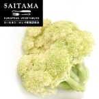 y󂠂EщHzJt[ ʌY 500G