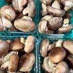 ���ő��s������p�b�N