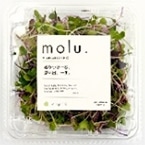 �Y���}�C�N���n�[�u�@20G