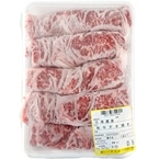 �a���T�[���C��������4���� 500G