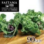 �v�`���F�[���@90gUP