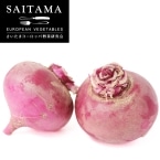 ���^�g���ԁi�ԁj�@400G