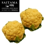 �~�j�I�����W�J���t�����[2�� ��ʌ��Y 300G