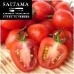 �g�}�g�x���[�i�ԁj ��ʌ��Y 180G