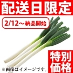 ��)H)���c����̒��˂�(���T�C�Y) 5�{��