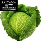 �T�{�C����ׂ�S ��ʌ��Y 450GUP