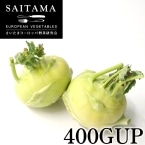 �����߃R�[�����r��� ��ʌ��Y 400GUP