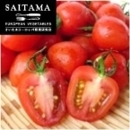 �g�}�g�x���[ ��ʌ��Y 300G