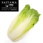 �ӂ������؁i�z�~�~�j���؁j ��ʌ��Y 450G