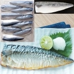 �����΃t�B��(�����m����) 95G�@10�H��