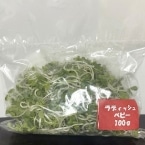 ���f�B�b�V���x�r�[