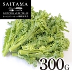 �P�[���؉� ��ʌ��Y 300G