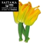 �ԃY�b�L�[�jM ��ʌ��Y 3�{��