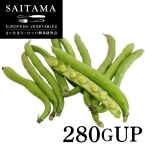 �C�^���A���瓤 �t�@�[�x ��ʌ��Y 280GUP
