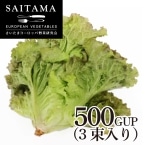 �ӂ���!�T�j�[���^�X3������ ��ʌ��Y 500GUP