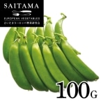 �X�i�b�v����ǂ� ��ʌ��Y 100G